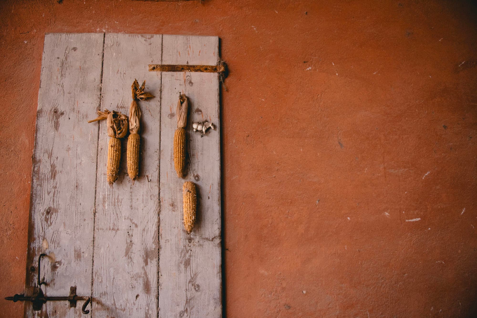 Dettaglio rustico all'interno della cantina