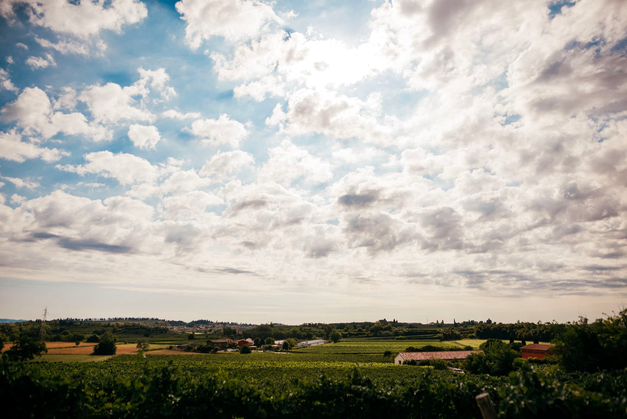 Panorama delle colline e dei vigneti