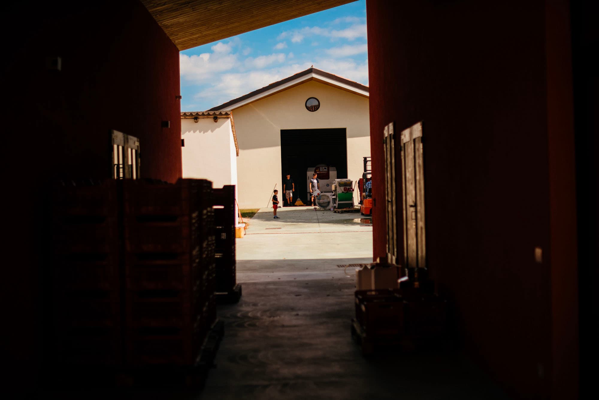 Ingresso della cantina durante la vendemmia